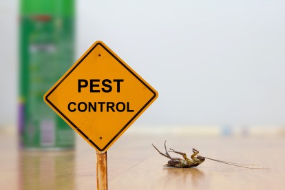 Pest Contol in Coulsdon, Old Coulsdon, Chipstead, CR5. Call Now 020 8166 9746